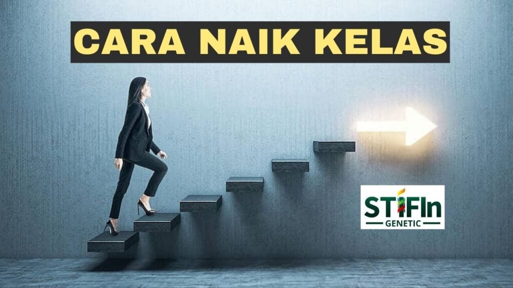 Cara Naik Kelas di Bisnis STIFIn - STIFIn Genetic